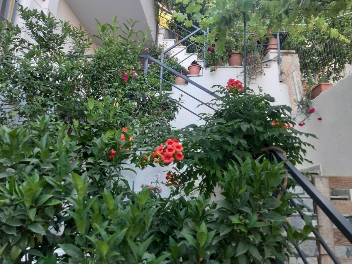 Mane Apartments ساراندا المظهر الخارجي الصورة