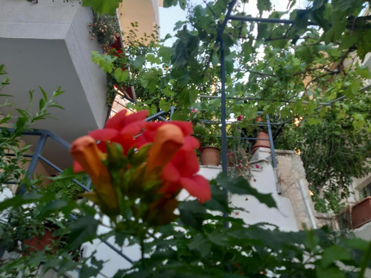 Mane Apartments ساراندا المظهر الخارجي الصورة