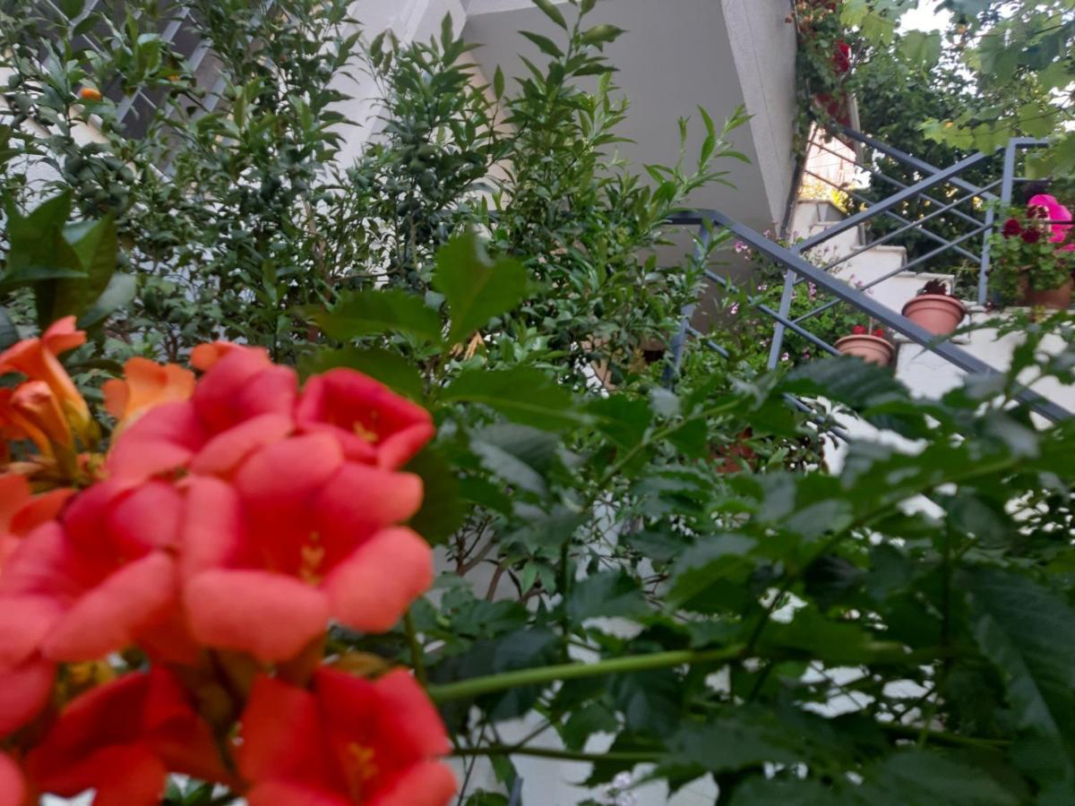 Mane Apartments ساراندا المظهر الخارجي الصورة